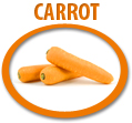 carrot concentrate usa