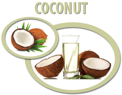 coconut juice concentrate usa