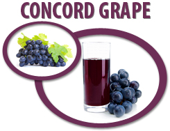 concord grape concentrate usa