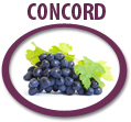 concord grape concentrate usa