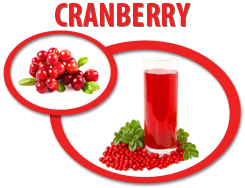 cranberry concentrate usa