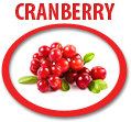 cranberry concentrate usa