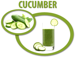 cucumber concentrate usa