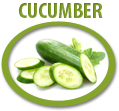 cucumber concentrate usa