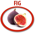 fig concentrate usa