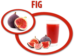 fig juice concentrate usa