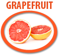 grapefruit concentrate usa