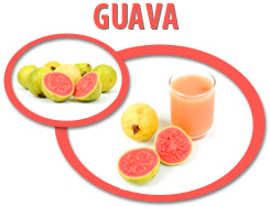 guava juice concentrate usa