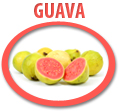 guava juice concentrate usa