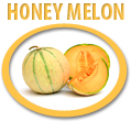 honey melon concentrate usa