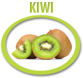 kiwi concentrate usa