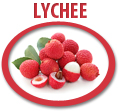 lychee concentrate usa