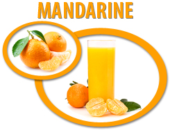 mandarine concentrate usa