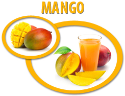 mango concentrate usa