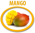 mango concentrate usa