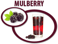 mulberry juice concentrate usa