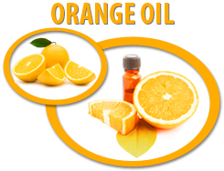 orange essential oil usa