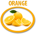 orange juice concentrate usa