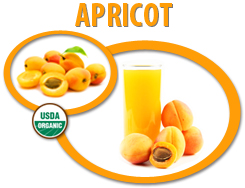 organic apricot puree concentrate usa