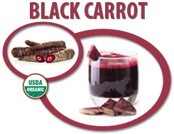 organic black carrot juice concentrate usa