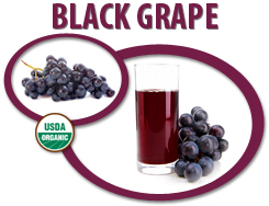 organic black grape juice concentrate usa