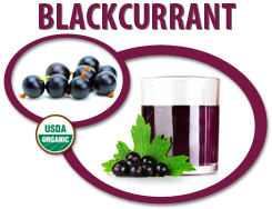 organic blackcurrant juice concentrate usa