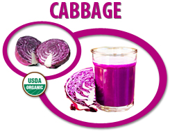 organic cabbage juice concentrate usa