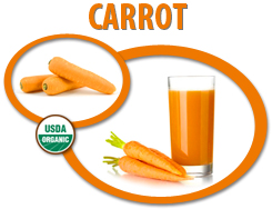 organic carrot juice concentrate usa