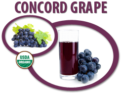 organic concord grape juice concentrate usa