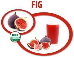 organic fig juice concentrate usa