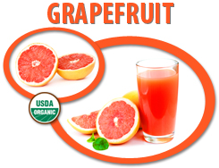 organic grapefruit juicconcentrate usa