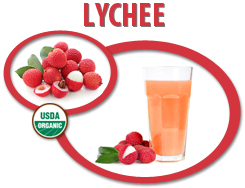 organic lychee juice concentrate usa