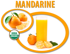 organic mandarine juice concentrate usa