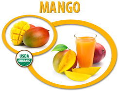 organic mango juice concentrate usa