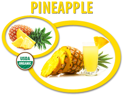 organic pineapple juice concentrate usa