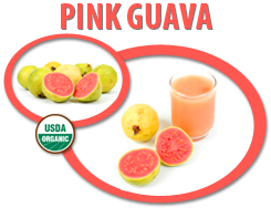 organic pink guava concentrate usa