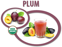 organic plum juice concentrate usa