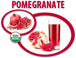 organic pomegranate juice concentrate usa