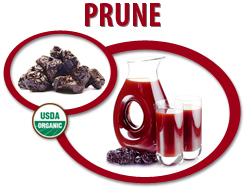 organic prune juice concentrate usa