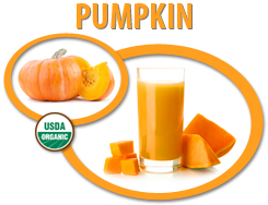 organic pumpkin puree concentrate usa