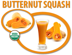 organic squash puree concentrate usa