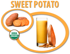 organic sweet potato puree concentrate usa