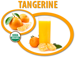 organic tangerine juice concentrate usa