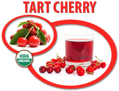 organic tart cherry juice concentrate usa