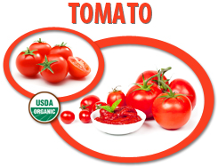 organic tomato paste usa organic tomato paste suppliers in the US