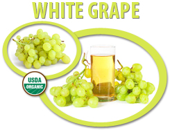 organic white grape juice concentrate usa