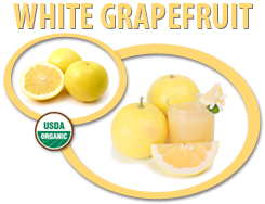 organic white grapefruit concentrate usa