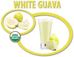 organic white guava concentrate usa