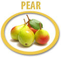 pear concentrate usa