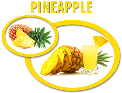 pineapple juice concentrate usa